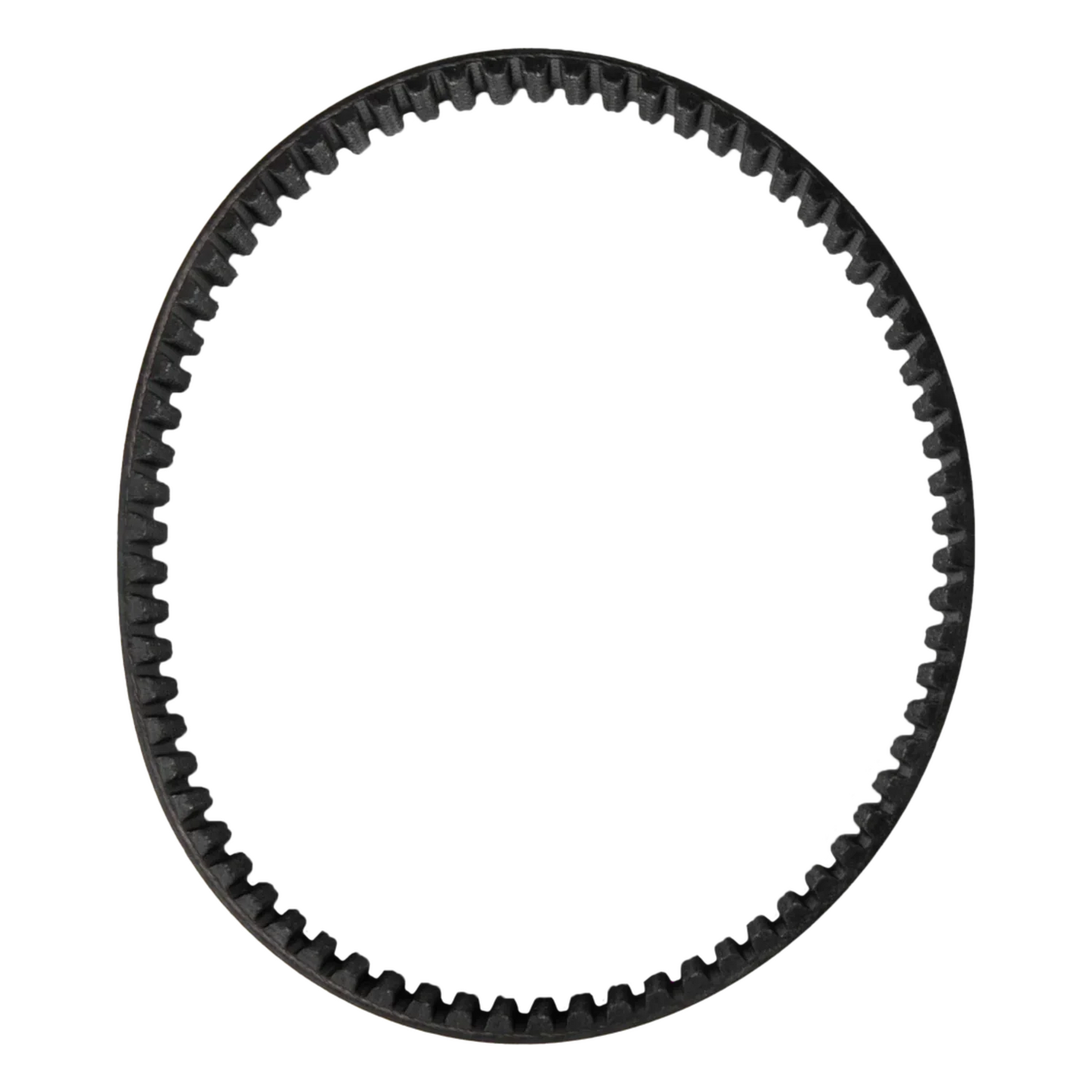 DAYCO Primary Drive Belt